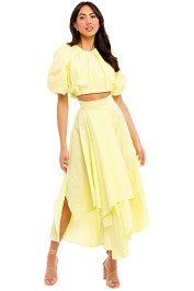 Euphoria Top and Euphoria Skirt Set in Citron Ginger and Smart asymmetric
