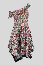 Elliatt Floral Embroidered Fit and Flare Opus Dress