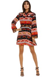 Hayley-Menzies-Tigress-Mini-Dress-Front